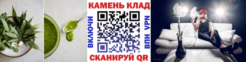 shop наркотические препараты  Северская  Еда ТГК марихуана 