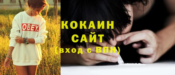 амф Гусев