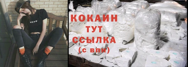 сатива Горняк
