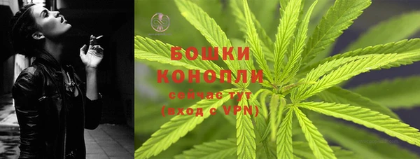 шишки Горнозаводск