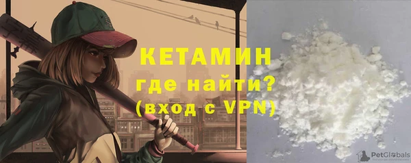 амф Гусев