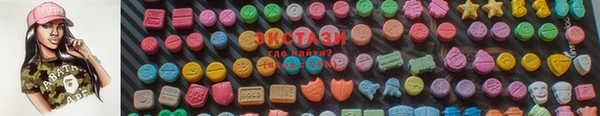 амф Гусев