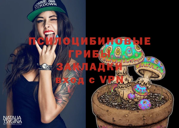 амф Гусев