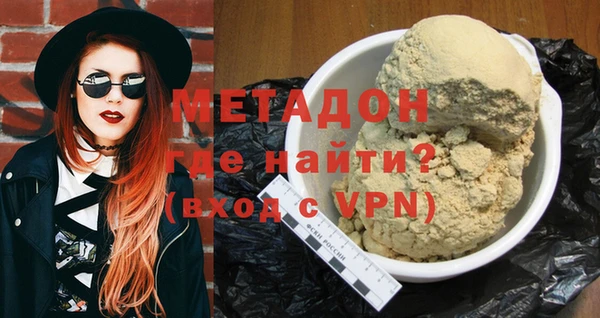 амф Гусев