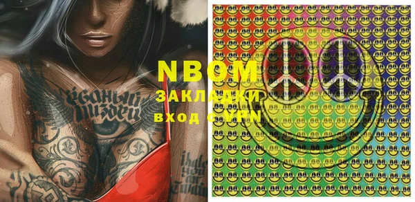 шишки Горнозаводск