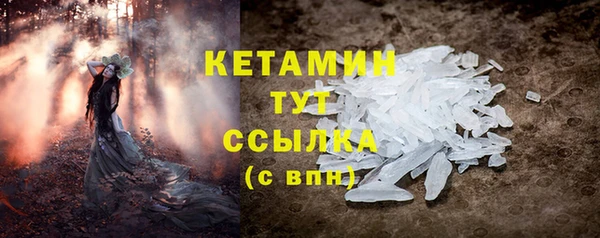 сатива Горняк