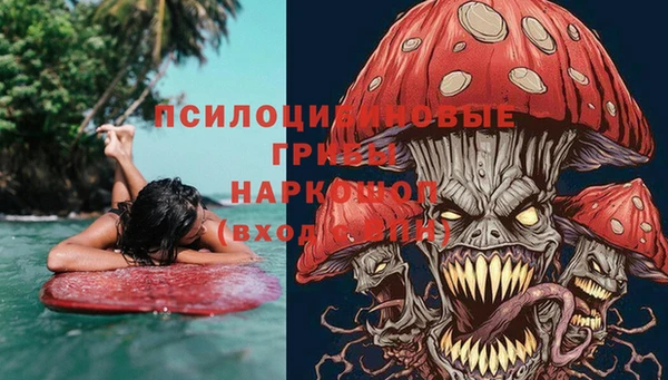 сатива Горняк