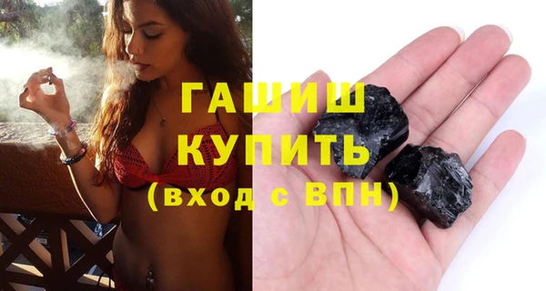сатива Горняк