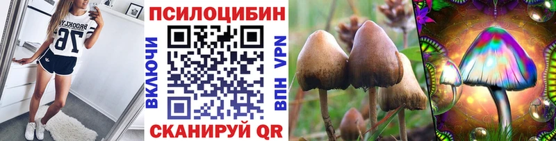 Галлюциногенные грибы Cubensis  mega   Северская  даркнет сайт 